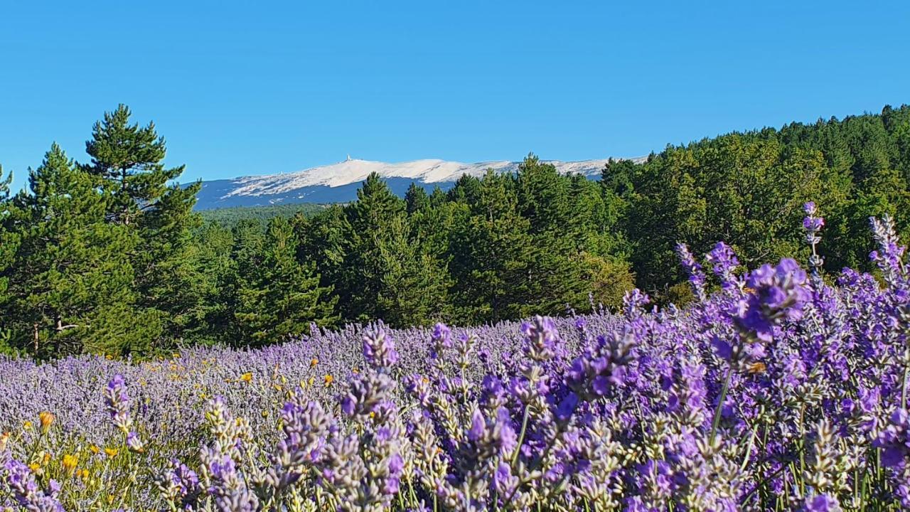 A Ventoux Yourte Monieux ภายนอก รูปภาพ