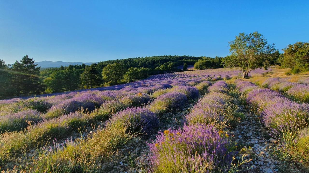 A Ventoux Yourte Monieux ภายนอก รูปภาพ