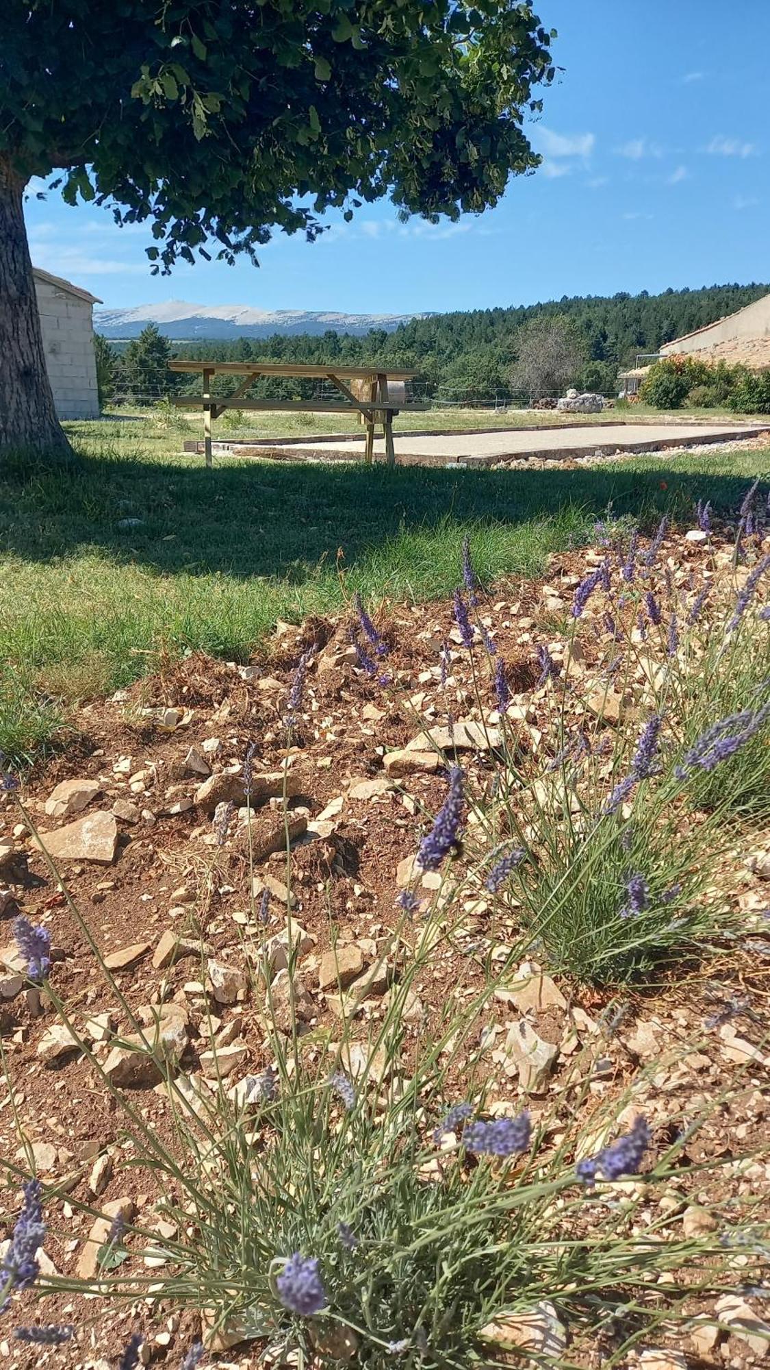 A Ventoux Yourte Monieux ภายนอก รูปภาพ